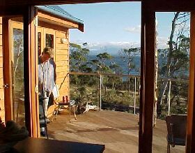 Tree House - The