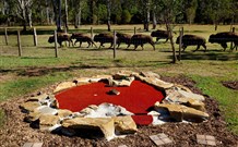 Aranyani Bison Adventure Tourist Park