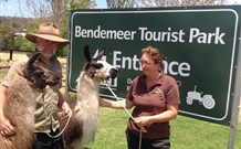 Bendemeer Tourist Park