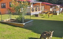 Durras Lake North Holiday Park