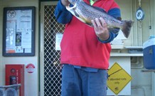 Rainbow Pines Tourist Caravan Park