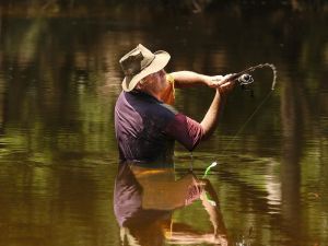 Lochlorian Trout Fishing and Getaway