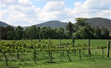 Jessica's Guest House and Vineyard
