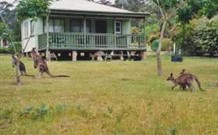 Bewong River Retreat
