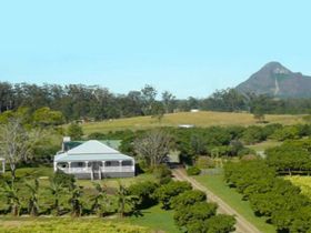 Mango Hill Farm