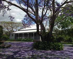 Mango Hill Farm
