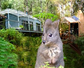 Huon Bush Retreats