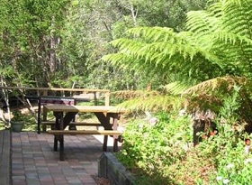 Blackwood Studio Accommodation - Cottage--
