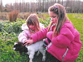 Huon Valley Caravan Park