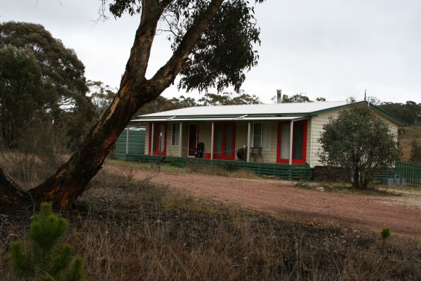 Christmas Tree Cottage