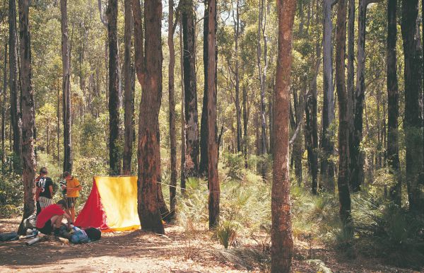 Nanga Mill Camp at Lane Poole Reserve