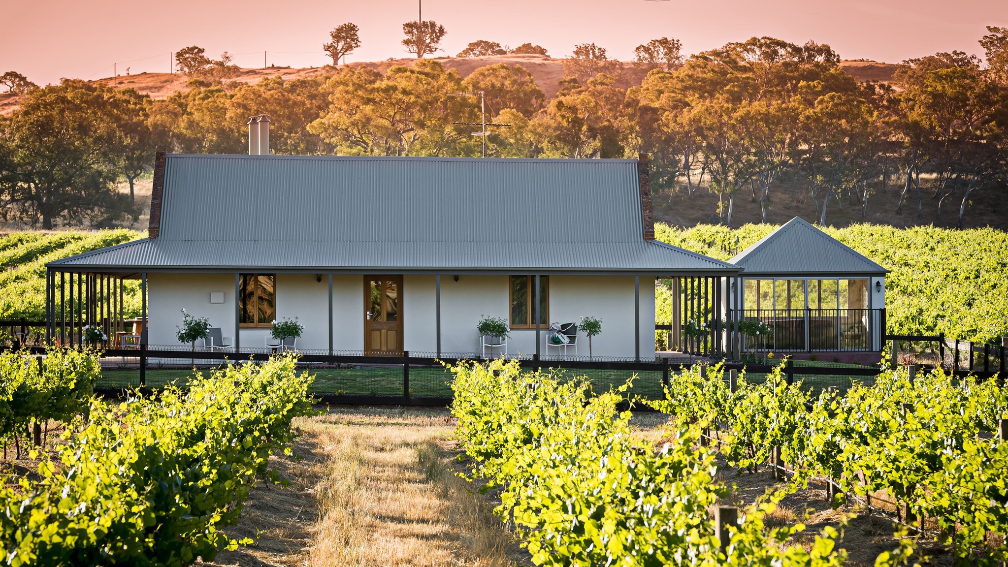 Brockenchack Vineyard Bed & Breakfast