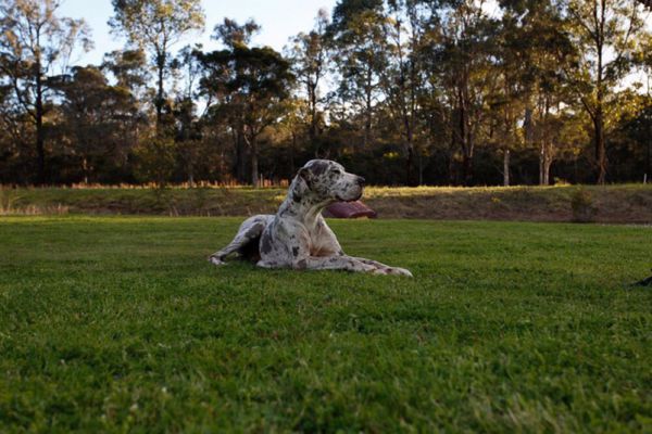Hunter Valley Retreat