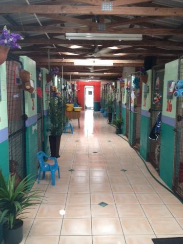 Hillcrest Pet Resort