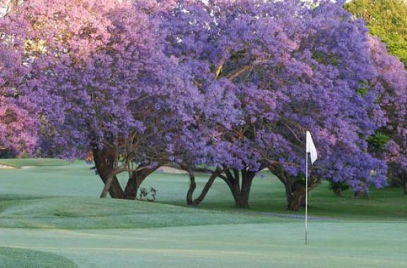 Indooroopilly Golf Club