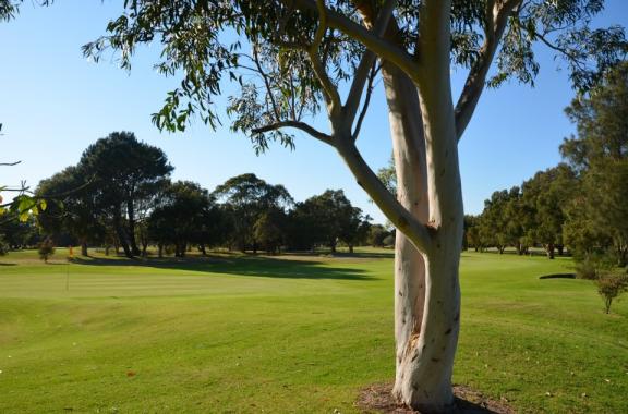 Kogarah Golf Club