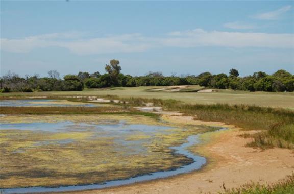 Queenscliff Golf Club