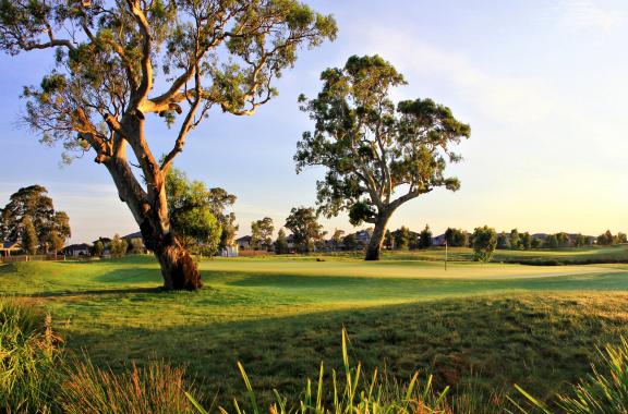 Sandhurst Golf Club