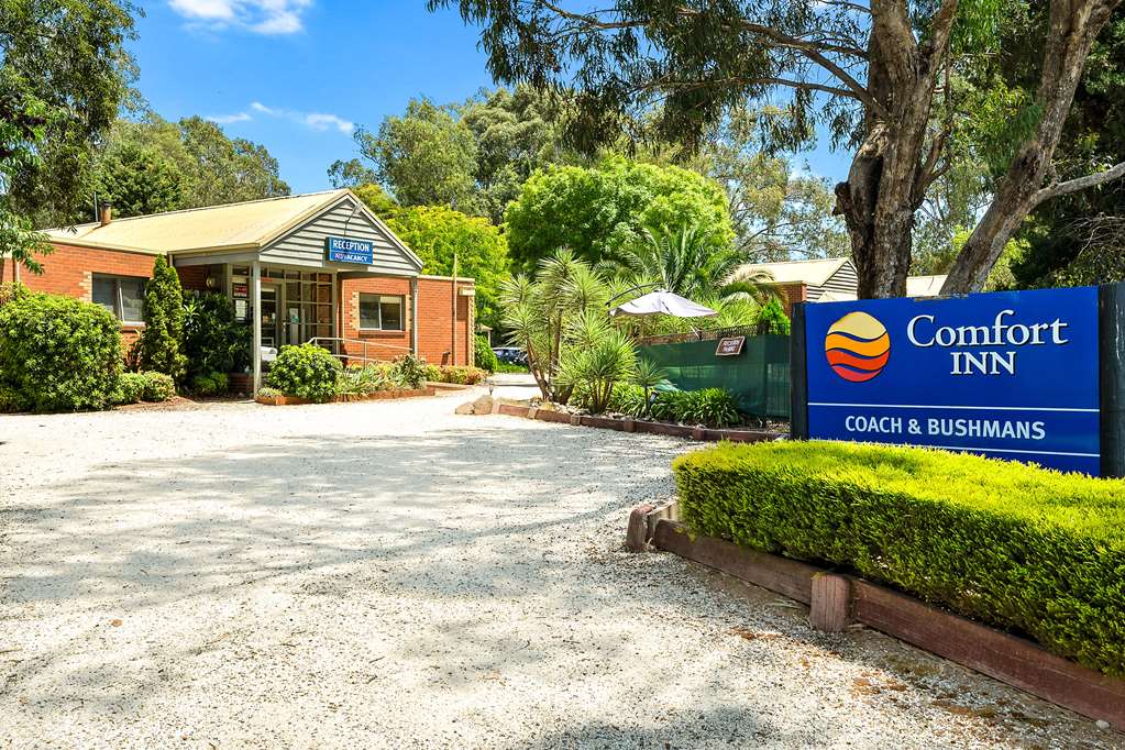 Comfort Inn Coach & Bushmans