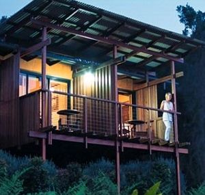 O'Reilly's Rainforest Guesthouse